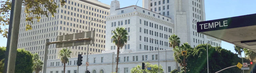 Graffiti Removal & Prevention at Los Angeles City Hall, California