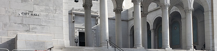 Los Angeles City Hall Surface Protection