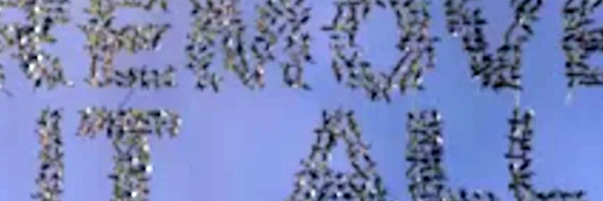 removing Graffiti with Worlds Best Graffiti Removal System