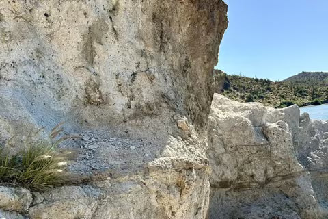 Natural Restorations