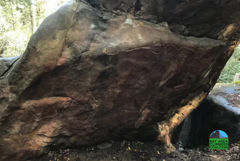 Bay Area Climbers Coaltion