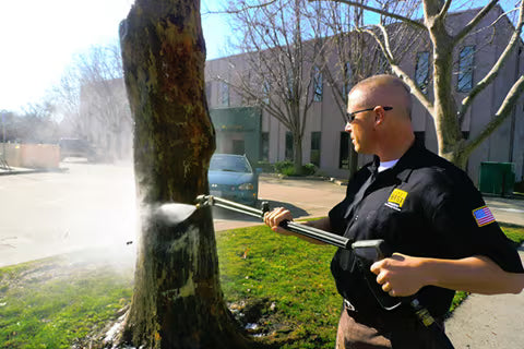 How To Remove Spray Paint From Trees