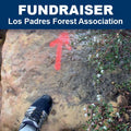 Los Padres Forest Association, Fundraiser - World's Best Graffiti Removal Products
